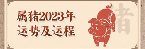 1995属猪2024年运程|1995年属猪2024年运势及运程详解 95年属猪人2024年龙年每月运。